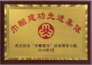 2016年巾帼建功先进集体