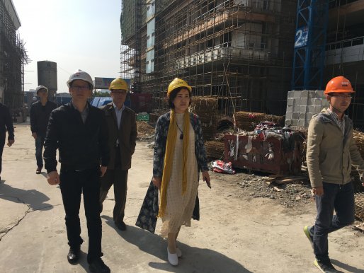 总经济师孙继平视察养老服务中心等项目