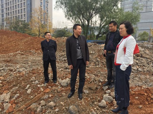 协调推进车都大厦建设进度