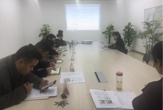 智投公司传达学习集团环保督察工作会议精神
