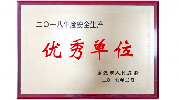 车都集团荣获市2018年度“安全生产优秀单位”