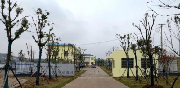 黄石畈、沿河垸泵站通过竣工验收