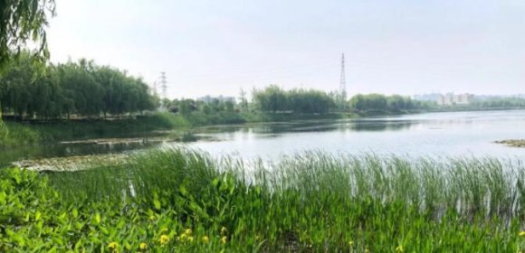 武汉开发区（汉南区）新增生态名片 桂子湖、牛海湖综合治理通过验收