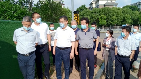 彭浩调研后官湖（庙湾段）水环境整治工程