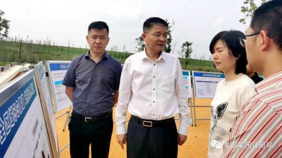 集团领导赵永华调研智投公司项目建设