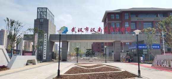 车都智投公司建设的汉南育才中学、汉南育才二小、新长江幼儿园如期开学