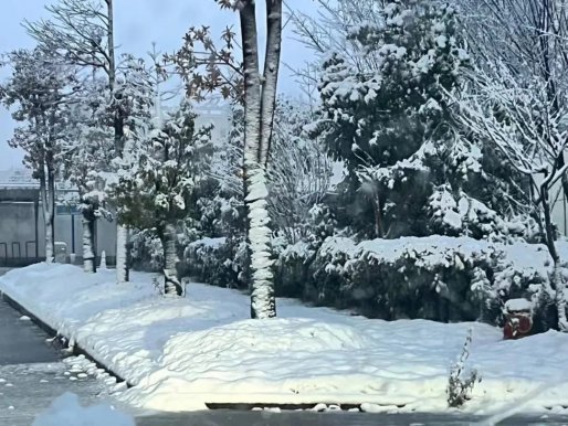 风里雪里，车都物业人一直在这里！