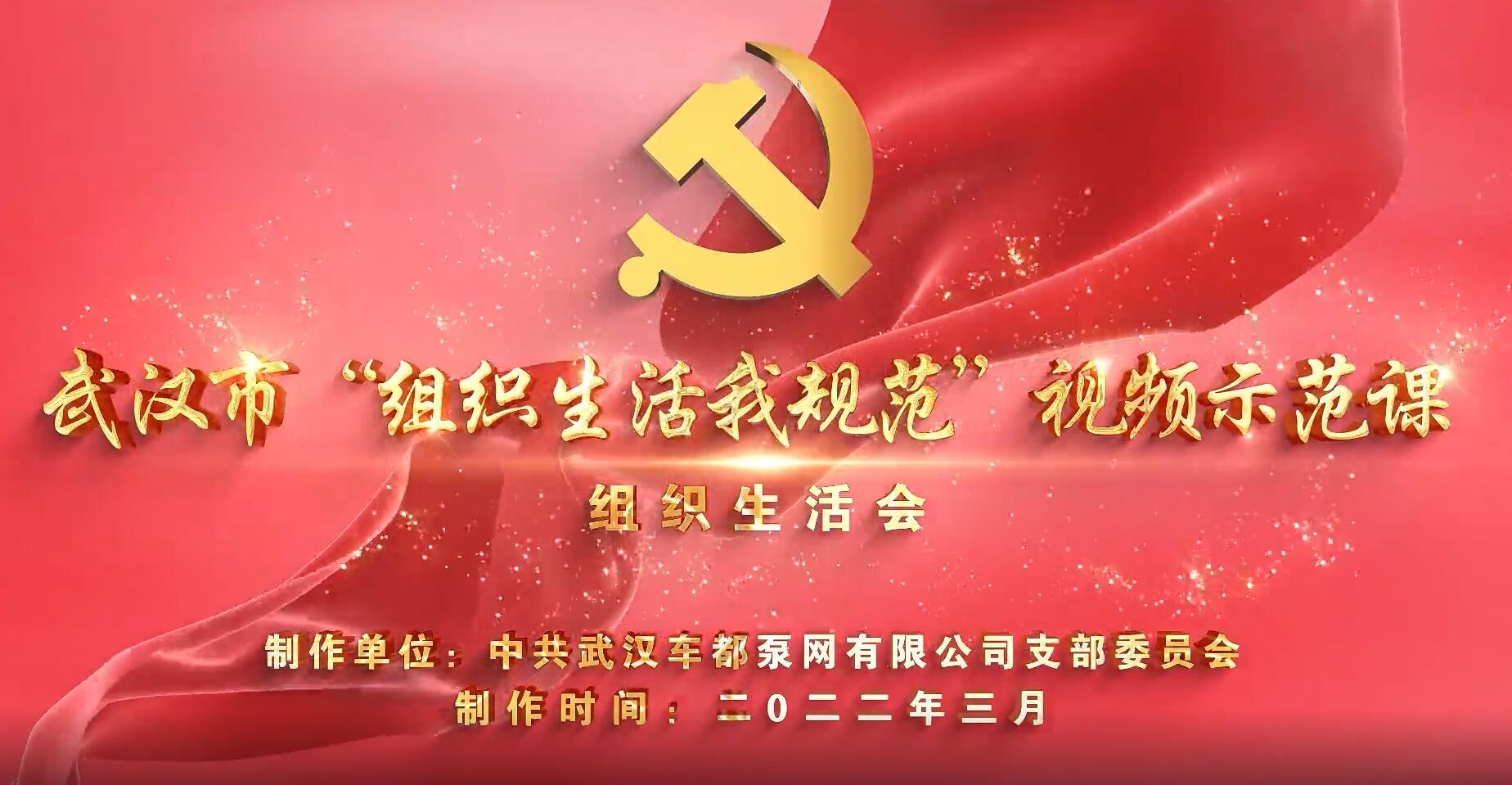 组织生活我规范｜车都泵网党支部组织生活会