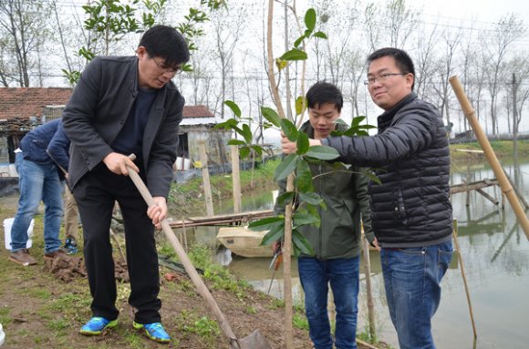 公司领导带队学雷锋义务植树