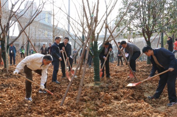 公司组织开发区2016年义务植树活动